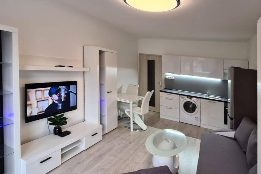 Útulný apartmán v centru, s krásným výhledem Decin Esterno foto