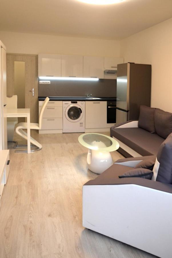 Útulný apartmán v centru, s krásným výhledem Decin Esterno foto