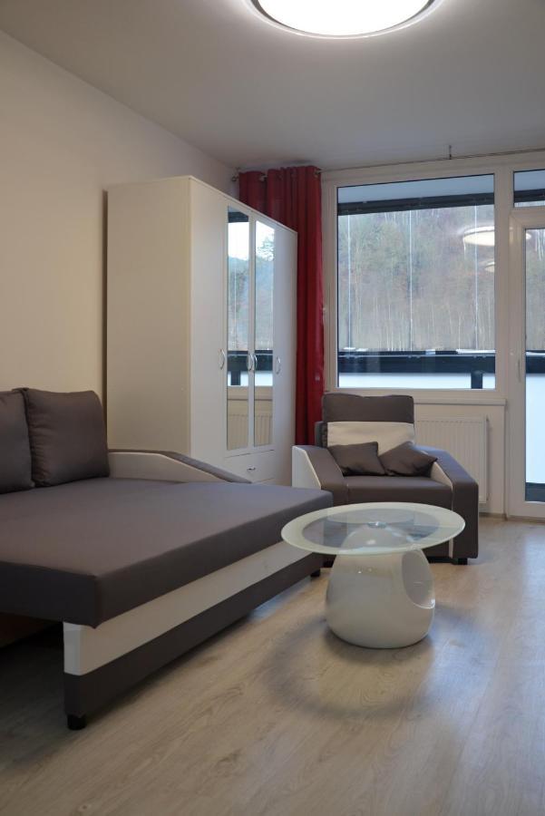 Útulný apartmán v centru, s krásným výhledem Decin Esterno foto