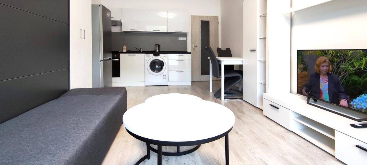 Útulný apartmán v centru, s krásným výhledem Decin Esterno foto