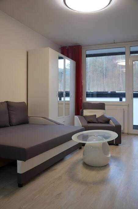 Útulný apartmán v centru, s krásným výhledem Decin Esterno foto